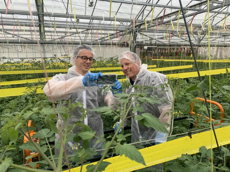 Digital Crop Management provides added value to tomato growers of Growers United